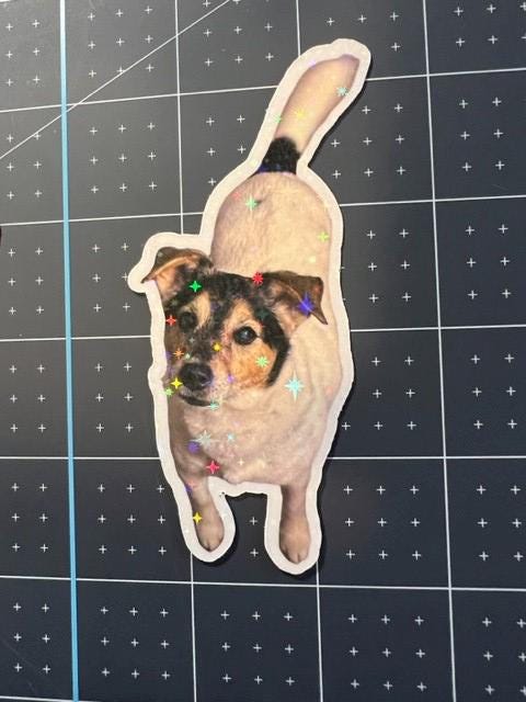 Custom Die-Cut Sticker From Your Photo, Logo, Pet, Wedding Design